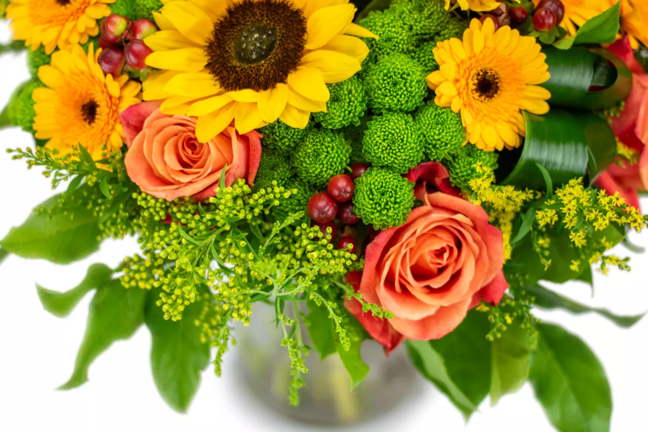 HELENE_DETAIL_IMG_6677_eRGB.png